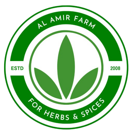 cropped-logo-1.png