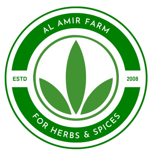 logo (1)